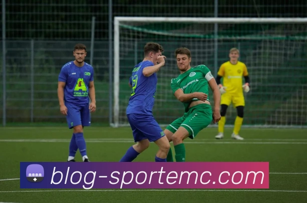 易倍体育平台生态图